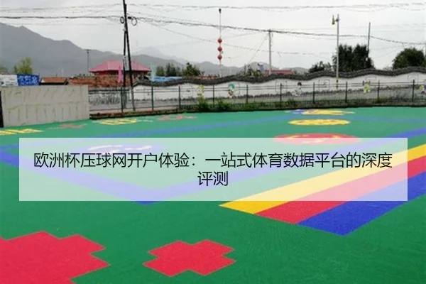 欧洲杯压球网开户体验：一站式体育数据平台的深度评测