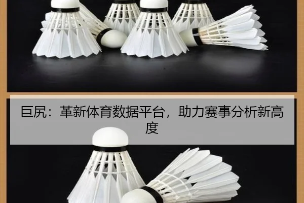 巨尻:革新体育数据平台,助力赛事分析新高度