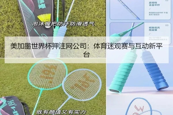美加墨世界杯押注网公司：体育迷观赛与互动新平台